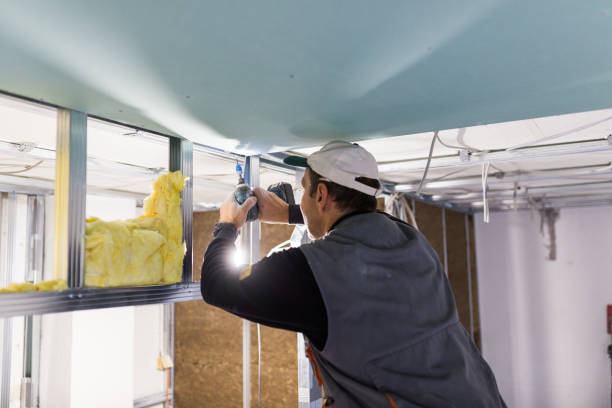 Best Residential Insulation in Cridersville, OH
