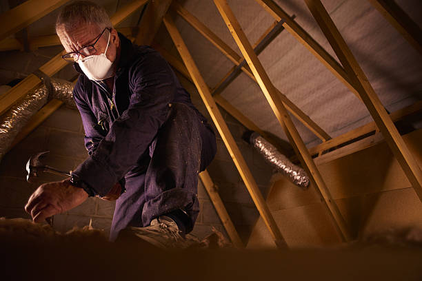 Best Insulation Installation Services in Cridersville, OH